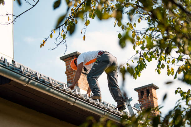 Best Tile Roofing Contractor  in Evadale, TX